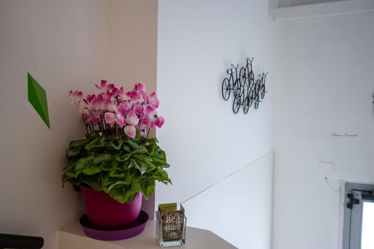 Bed & Bike Ferrara Bed & Breakfast Bagian luar foto